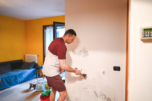 Best Emergency Mold Removal  in Jarrettsville, MD
